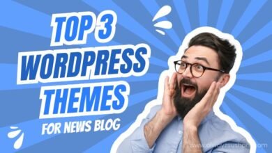 top 3 wordpress themes